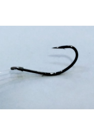 Çipura Takımı Sonsuz Gezer