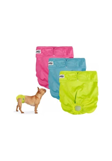 Pawise Tekrar Kullanılabilir Köpek Külodu Xs 3adet N141