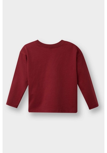 Defacto Erkek Bebek Bisiklet Yaka Baskılı 2li Uzun Kollu Tişört F3401a525auar1 Antrasit Defacto Erkek Bebek Bisiklet Yaka Baskılı 2li Uzun Kollu Tişört F3401a525auar1 Antrasit