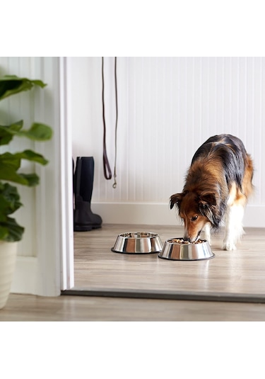 Technojet 2 Adet Metal Kedi ve Köpek Mama Su Kabı 18 cm