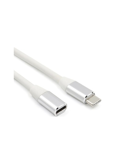 Sandwich Alüminyum Gümüş Usb 3.1 Type-c Genişletici Kablosu - 1m, Veri Transferi Ve Şarj, Bilgisayar/switch/akıllı Telefon Uyu