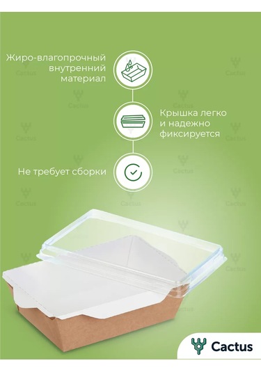 Cactus Tek Kullanımlık Trigloff Kutu, 1000 Ml Yemek Kapları 224868225 100 adet