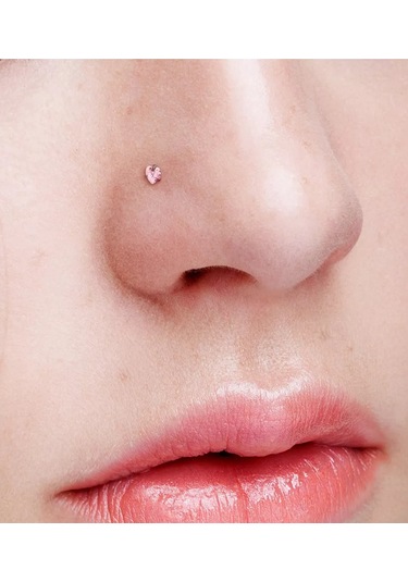 Spikes 316l Paslanmaz Çelikten Burun Kanadı Piercing İçin Karnesi, Nostril Ve Salyangoz Küpeleri 148977106 Pembe