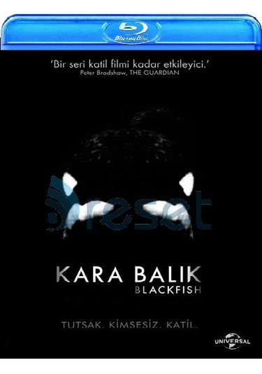 Blackfish - Kara Balık Blu-Ray