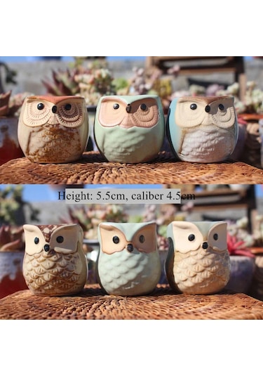 6 Adet Baykuş Etli Saksı Karikatür Başparmak Pot Taş Nefes