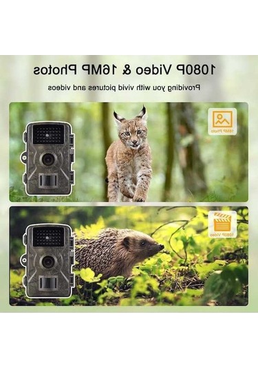 Dancemonkey Avcılık Kamerası 1080p 16mp Renkli Yaban Hayatı İzleme Kamerası 2.0 İnç Tft Yeşil