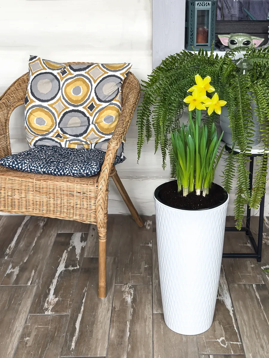 Konono Çiçek Ve İç Mekan Bitkileri İçin 15,5 Litrelik İç Kısımlı Saksı 327269377