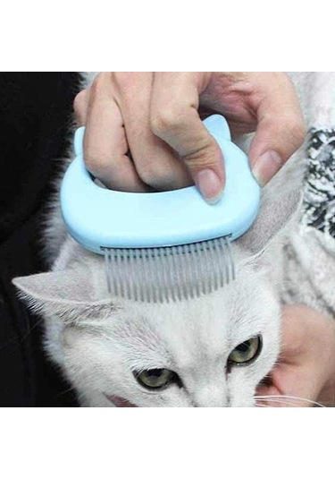 Kedi Tasarımı İle Evcil Hayvan Tarak - Mavi