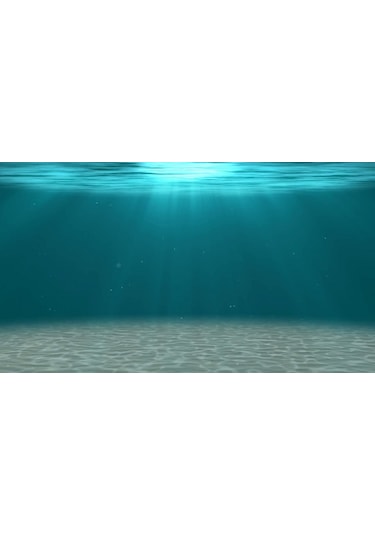 Kanki Pet KP554006 Akvaryum Arka Fon Yapıştırma 55 CM