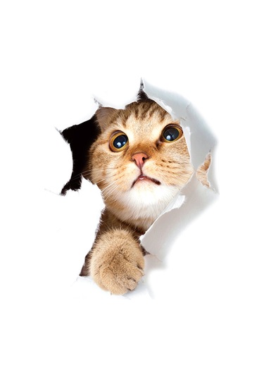 Ranyeek 3d Gerçekçi Kedi Desenli Su Geçirmez Pvc Duvar Sticker - Yumuşak Yüzeylere Uygulanabilir, Renk Kaybı Olmayan Dekoratif Etiket Diğer