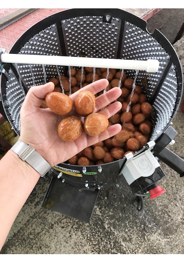 Kadıoğlu Cks80 Ceviz Soyma Makinası Sabit Devirli