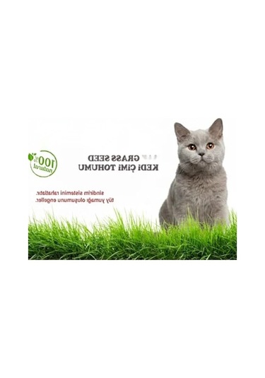 %100 Doğal Kedi Çimi Tohumu Karışımı - Arpa, Buğday, Yulaf 500 Gram