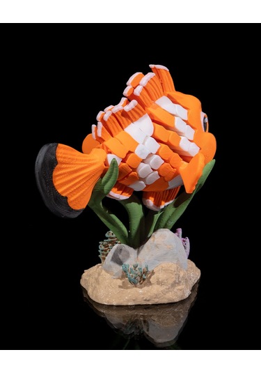 Hareketli Palyaço Balığı Ve Standı 10x7cm