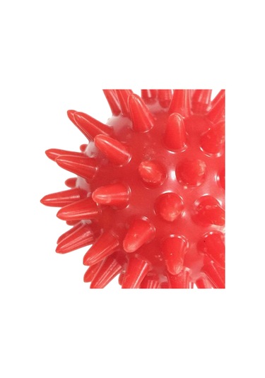 Homyl 3x Masaj Topu Relax Kompakt Yoga Pilates Omuz Sırtı Için Kırmızı