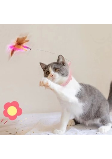 Boyuna Takılan Kedi Oyun Oltası