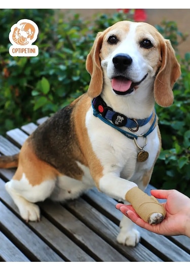 Optipetini Kendinden Yapışkanlı Esnek Veteriner Bandajı 5 Cm X 4,5 M 154793096