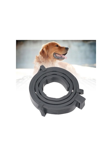 Homyl Kedi Köpek Için Pire Kene Yaka 10 Ay Koruma Evcil Hayvan Siyah