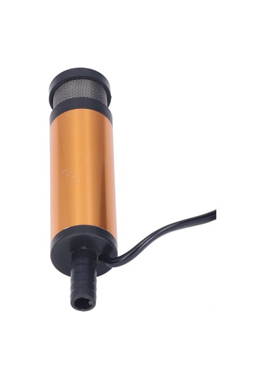 Wezone 12v Dc Elektrikli Mini Taşınabilir Yağ Pompa, Filtreli, Su Ve Dizel Transferi, 38mm, 12l/dakika, Paslanmaz Çelik Kasa