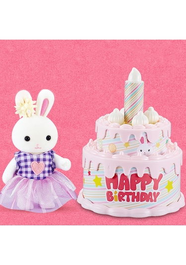 Bay Dreamy Mini Tavşan Doğum Günü Pastası Bay Dreamy