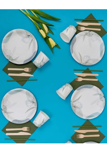 Albeta Parti İçin 20 Kişilik Tek Kullanımlık Sofra Takımı 156771821 100 adet