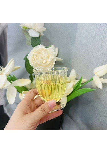 Willowhaven 8 Parça Elmas Desenli Şık Uzun Bardak - Pasta, Dondurma, Çay İçin Dayanıklı