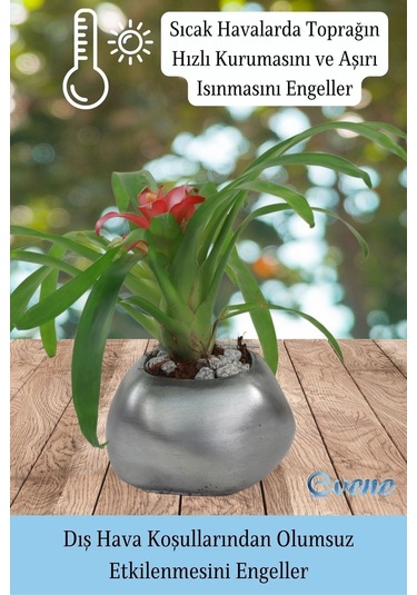 Saksı Çiçek Kaktüs Saksısı Lüx 14 Cm Elips Desen Saksı Çiçeklik - Gümüş Eskitme