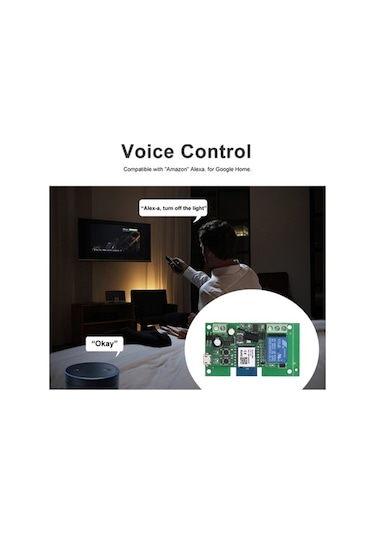 Dancemonkey Tuya Wifi Anahtar 1ch Dc5v-32v Zamanlayıcı, Alexa/google Home Uyumludur