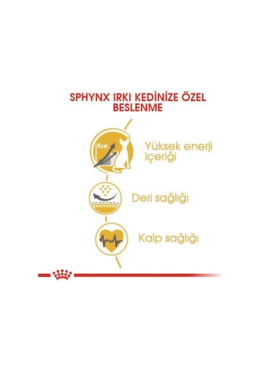 Royal Canin Adult Sphynx Yetişkin Kedi Maması 2 KG