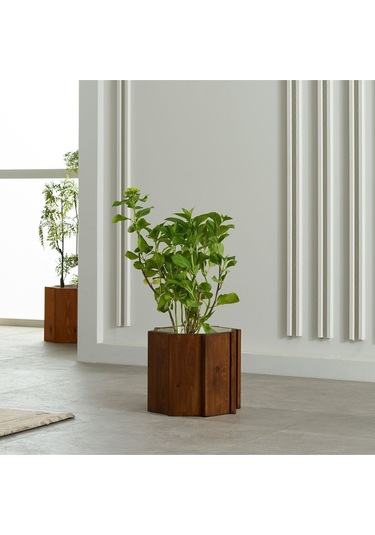 Halohope El Yapımı Doğal Ahşap Büyük Dekoratif Modern Kaliteli Bahçe Balkon Saksı Saksılık Stant Çiçeklik