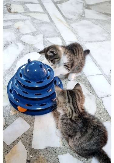 Trade Bazaar 3 Katlı 3 Toplu Kedi Oyuncağı