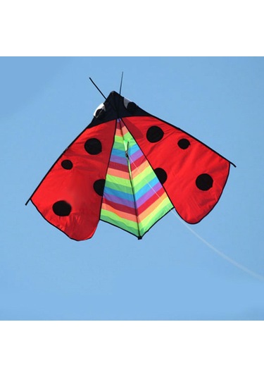 Suntek Delta Kite Fly Uçurtma Spor Bahçesi Için Büyük Kanat