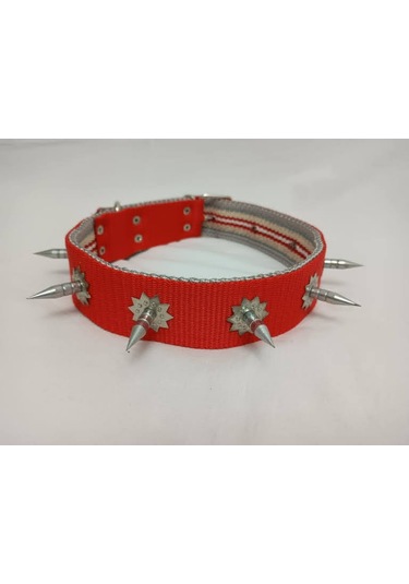 Kozaklı 10459 Çivili Süslü Köpek Tasması Turuncu 70 x 4 CM Turuncu