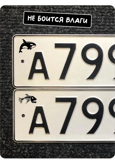 Stadi Devlet Plakası Etiketi Köpekbalığı 226337828