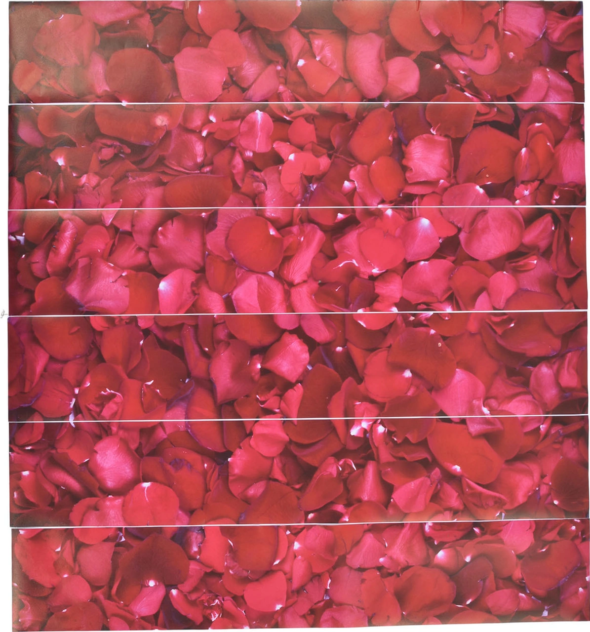 Geeroyoo 6 Adet 3d Pvc Merdiven Stickerı - Kendine Yapışkan, Su Geçirmez, Dekoratif Gül Yaprağı Deseni 100x18cm Diğer