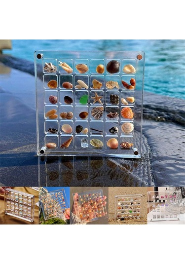 Akrilik Manyetik Deniz Kabuğu Gösterim Kutusu, Izgara Şeffaf Akrilik Deniz Kabuğu, F