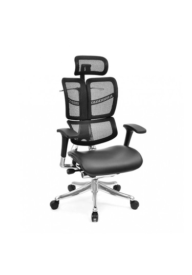 Betty Yönetici Koltuğu