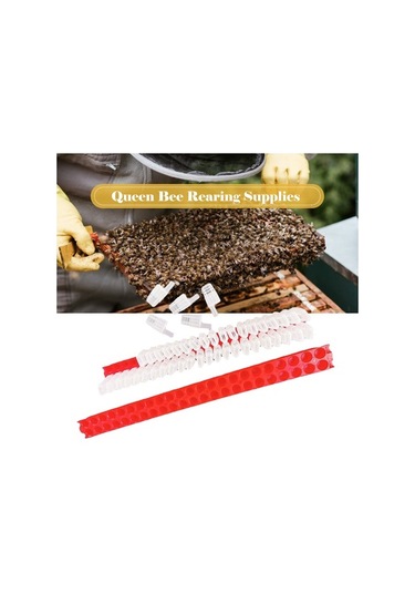 Ulzyvf Taşıma Profesyonel Kullanım Kraliçesi Kolay Kafesi Ekipmanı, Arıcılık Arı - Bk