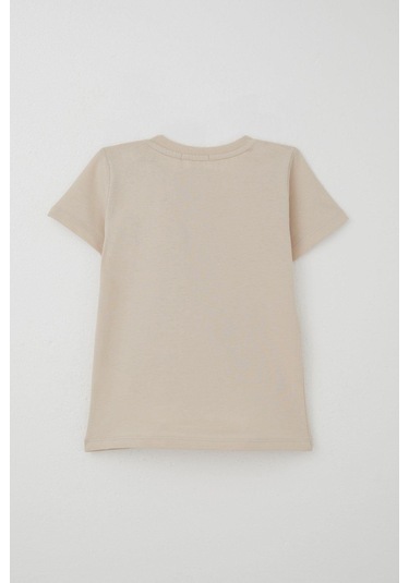 Breeze Erkek Bebek Şortlu Takım Havalı Ayıcık Baskılı 9 Ay-3 Yaş, Bej Bej