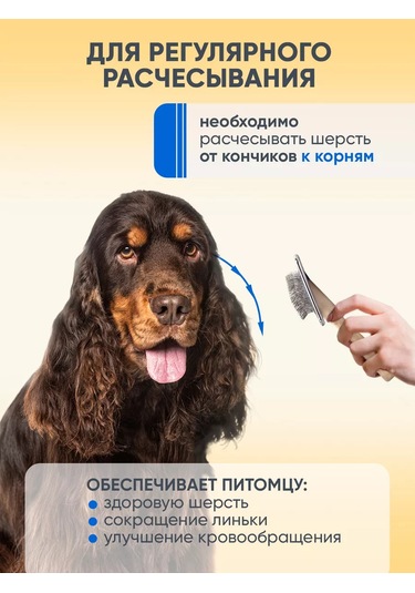 Zooone Kediler Ve Köpekler İçin Tüy Dökücü Fırça, Damlasız, Hafif, L 203135943