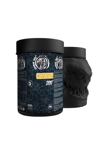 Zoomad Labs Creatine Monohydrate 300 G