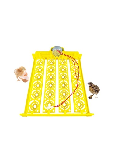 Pazly Yumurta Yumurta Tepsisi Tavuk Suntek Otomatik Çevirme 24 Cx