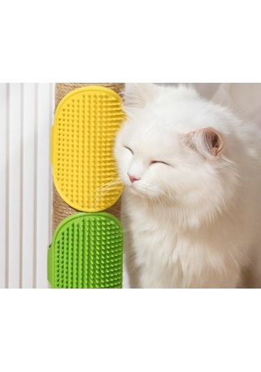 Büro Ev Ofis Evcil Hayvanı Kedi İçin Tüy Toplama Yıkama Silikon Kaşınma Fırçası