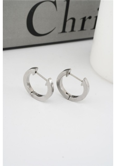 Kadın 316 L Paslanmaz Çelik 2 Cm Oval Model Küpe - Gümüş