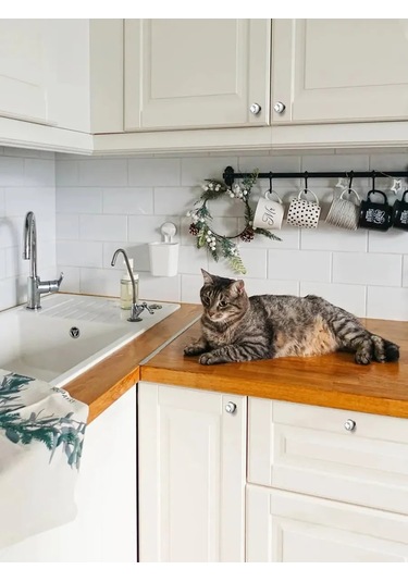 Centr Mebel'noj Furnitury Mobilya Düğme Kolu Gümüş 4 Adet 293207290 Bej