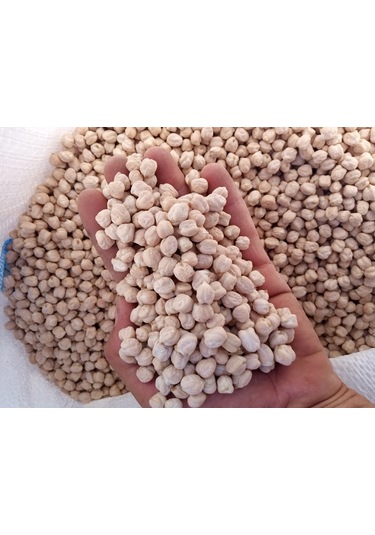 Çanakkale Beyaz Nohut