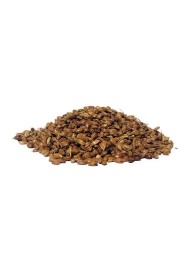 Sanita Süpürge Tohumu 250 GR