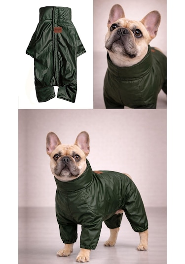 Alphadog Pine Polarlı Küçük Irk Köpek Yağmurluk Tulumu