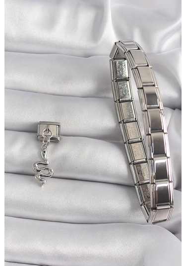 316l Çelik Gümüş Renk Sallantı Yılan Model Nomination Charm - Tj-bc1174 Diğer