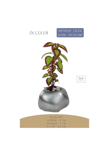 Çiçek Saksısı Dekoratif Kaktüs Saksı 1 Adet Spiral Oval Model - Gümüş Eskitme