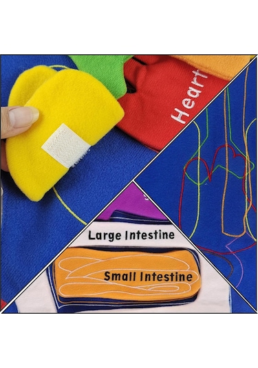 Suntek Dıy Organ Önlüğü Eğitim Aracı Önlük Mutfak